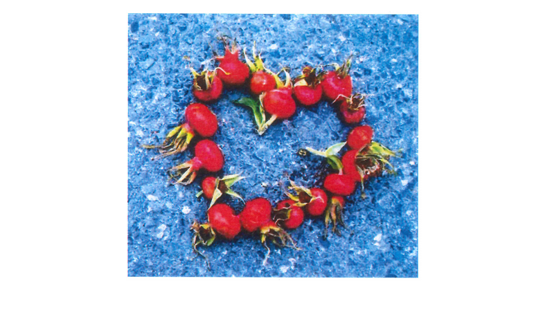 Foto av Gyda Wirgenes Singstad