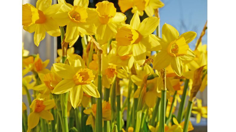 Slik ser påsken 2020 ut i Ilen menighet