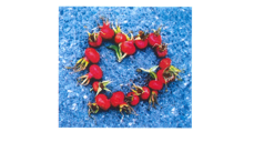 Foto: Gyda Wirgenes Singstad