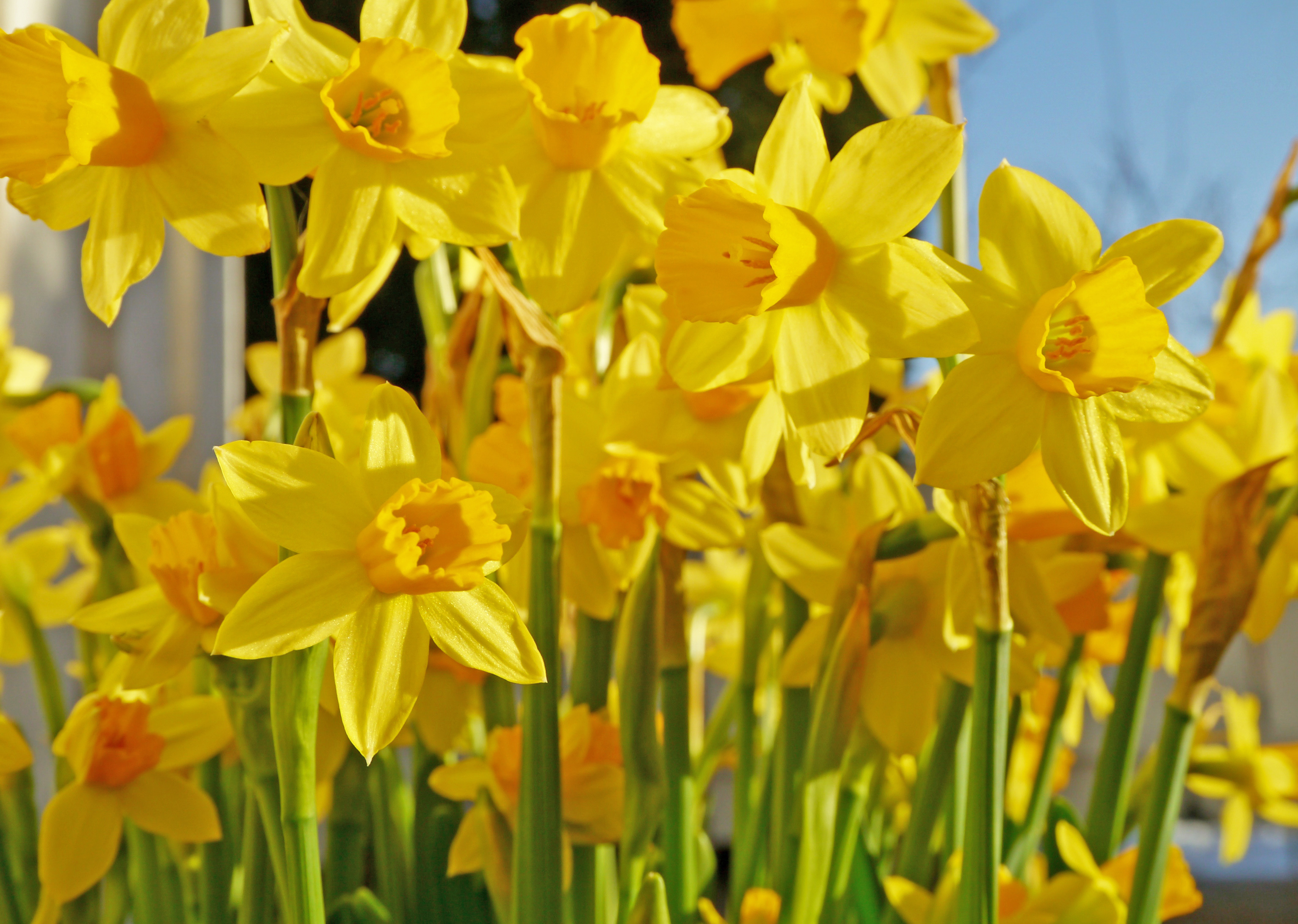 Påsken i Ilen menighet