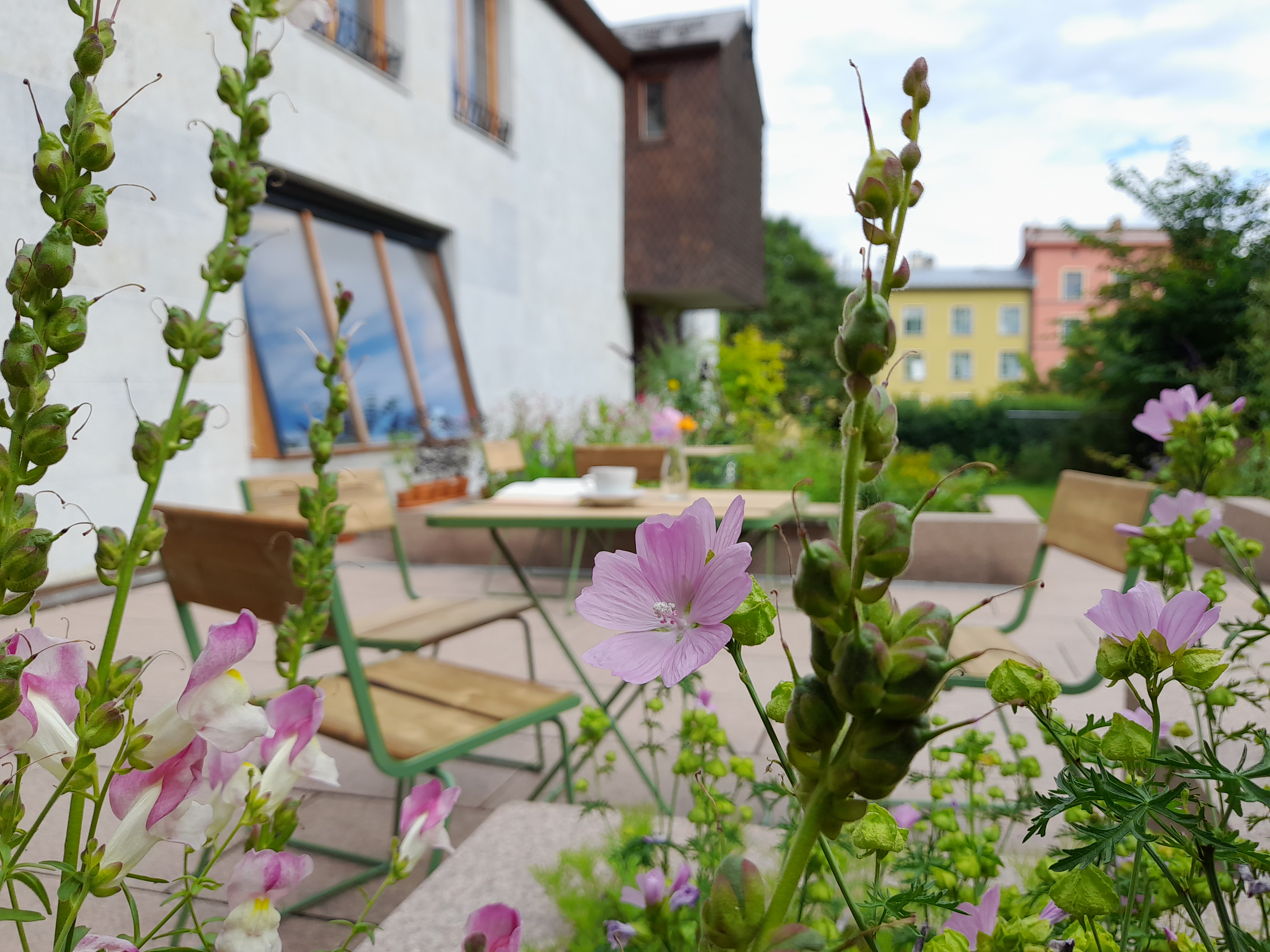 Foto: Andrine Elnes Rabbevåg