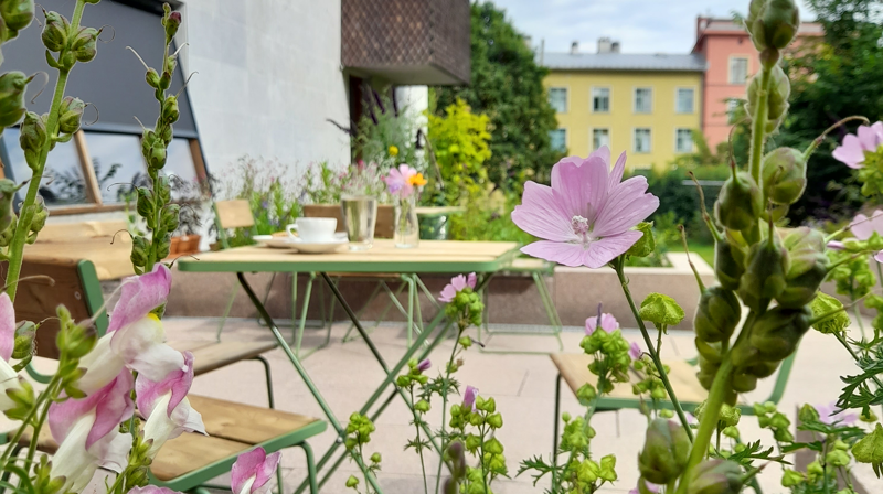 Torshov kirkehage – jord og himmel