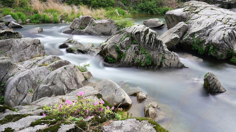 3. søndag i åpenbaringstiden