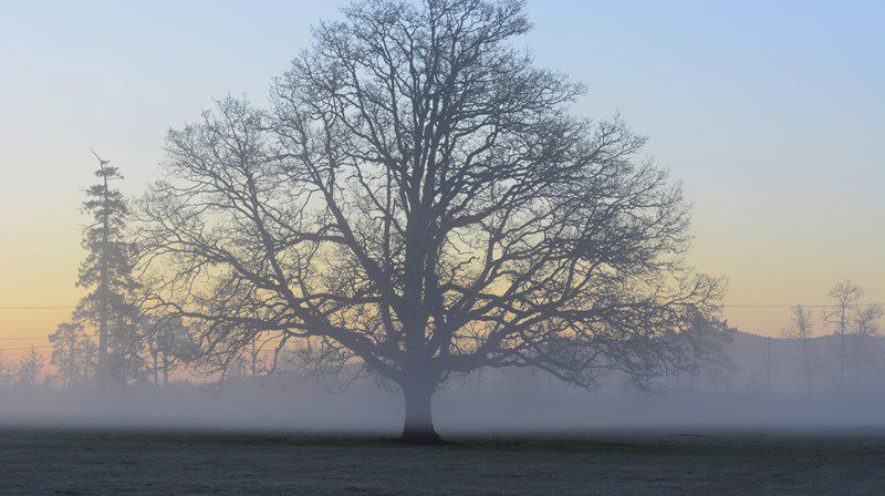Bønnefrokost lørdag 30. november