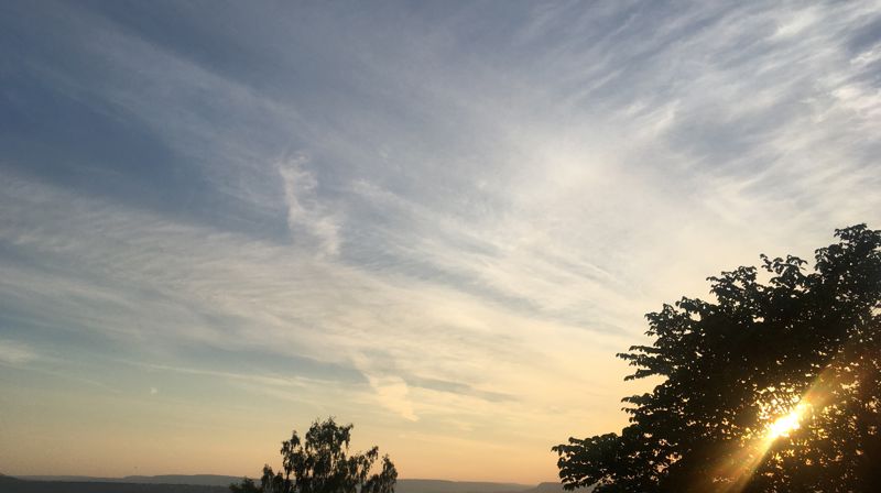 Sommerandakt fra biskop Kari Veiteberg