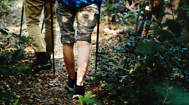 Bli med på kystpilegrimsvandringar i pinsen!