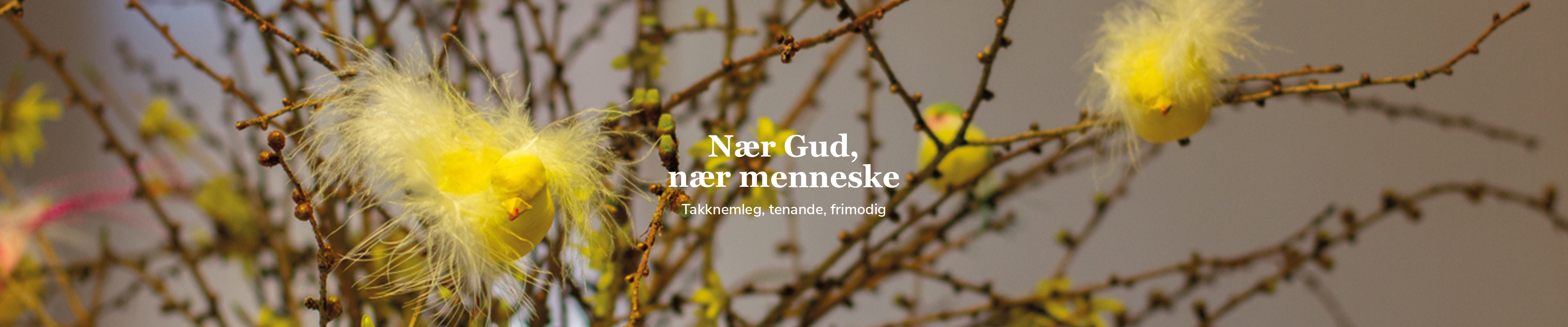 Toppbilde for Øygarden kyrkjelege fellesråd