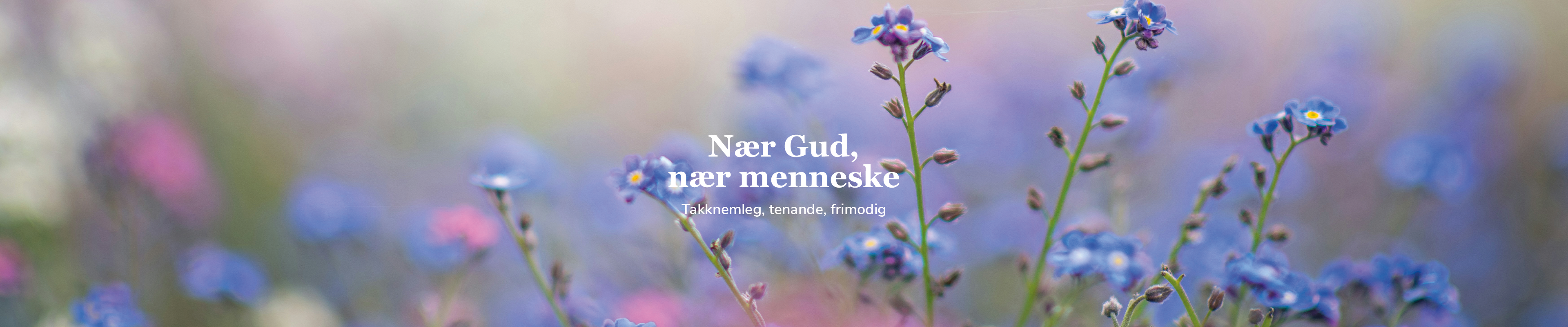 Toppbilde for Øygarden kyrkjelege fellesråd