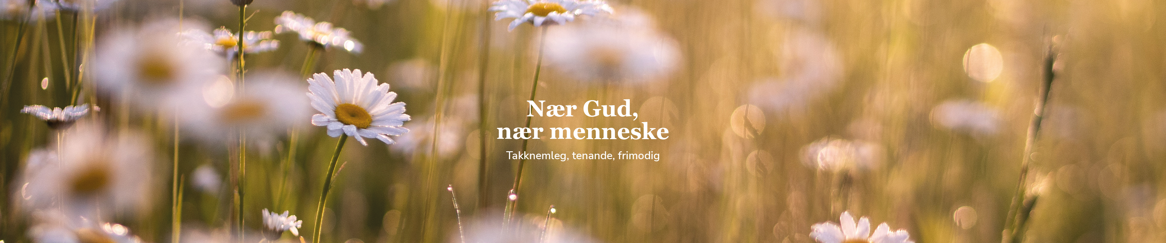 Toppbilde for Øygarden kyrkjelege fellesråd
