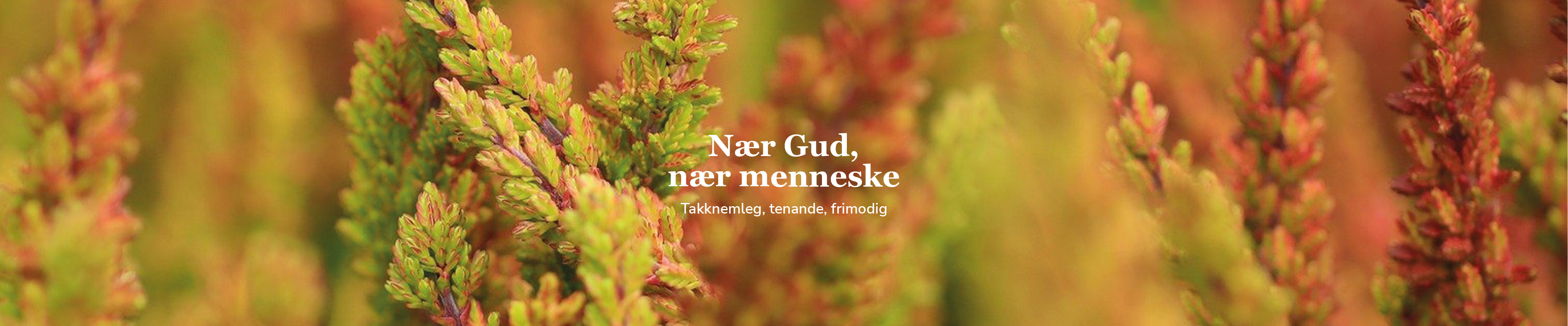 Toppbilde for Øygarden kyrkjelege fellesråd
