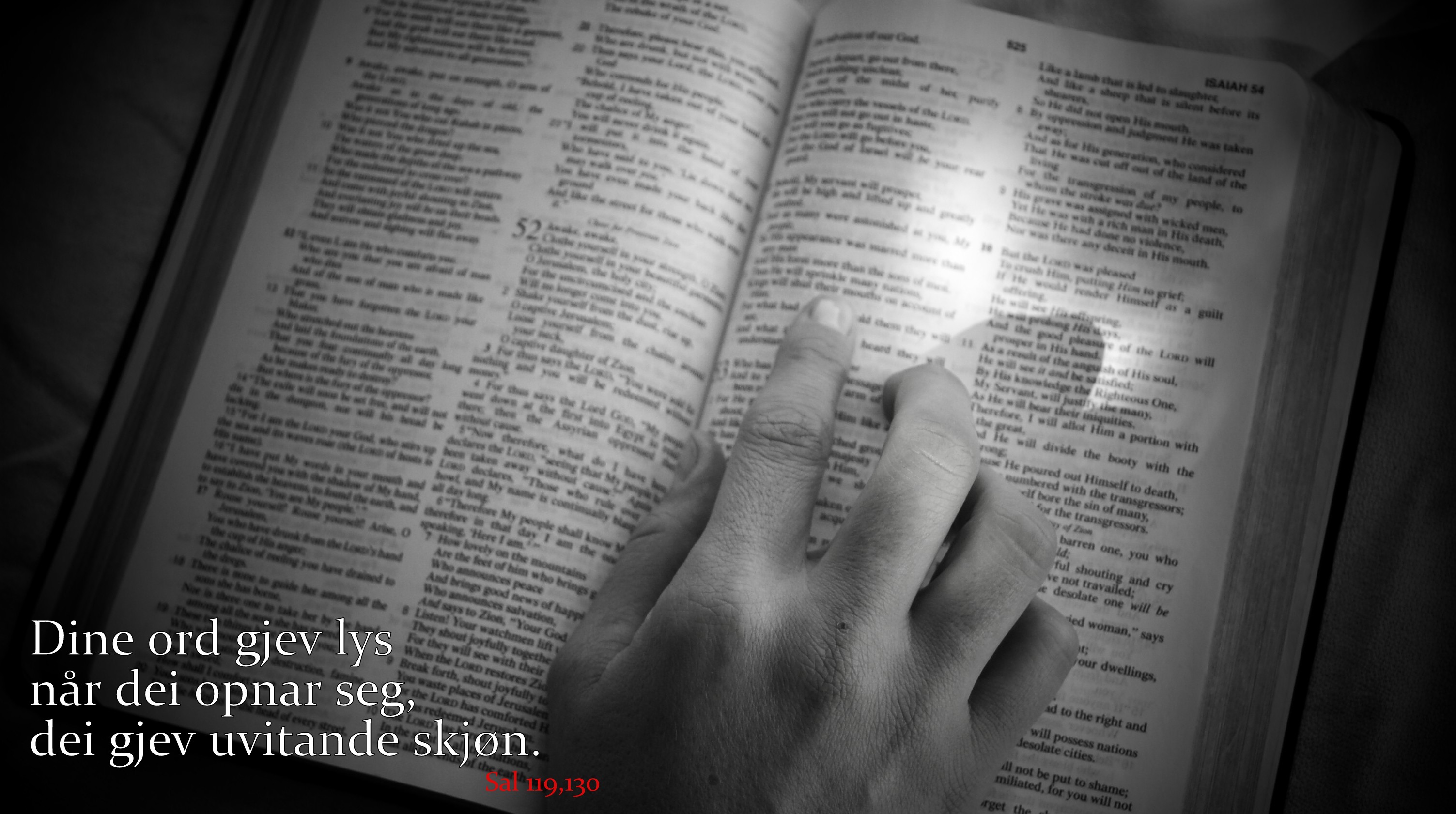 Husgruppar/bibelgruppar