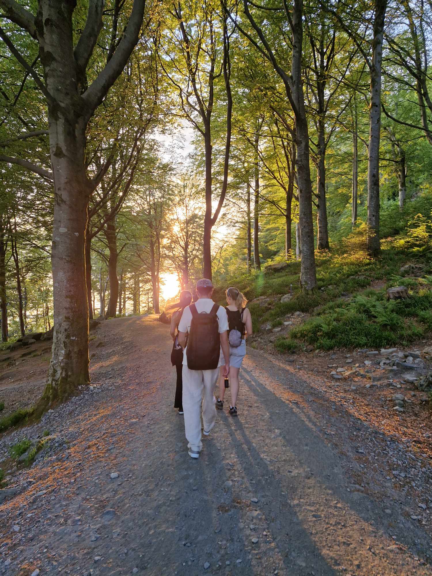 Ungdommar går på ein grussti., det er grønne trær rundt dei og sola held på å gå ned.