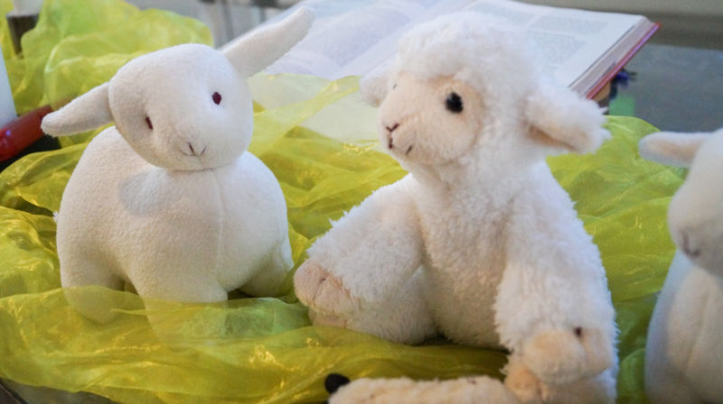 To sauebamser er sitter på grønt tyll