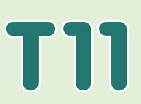 T11
