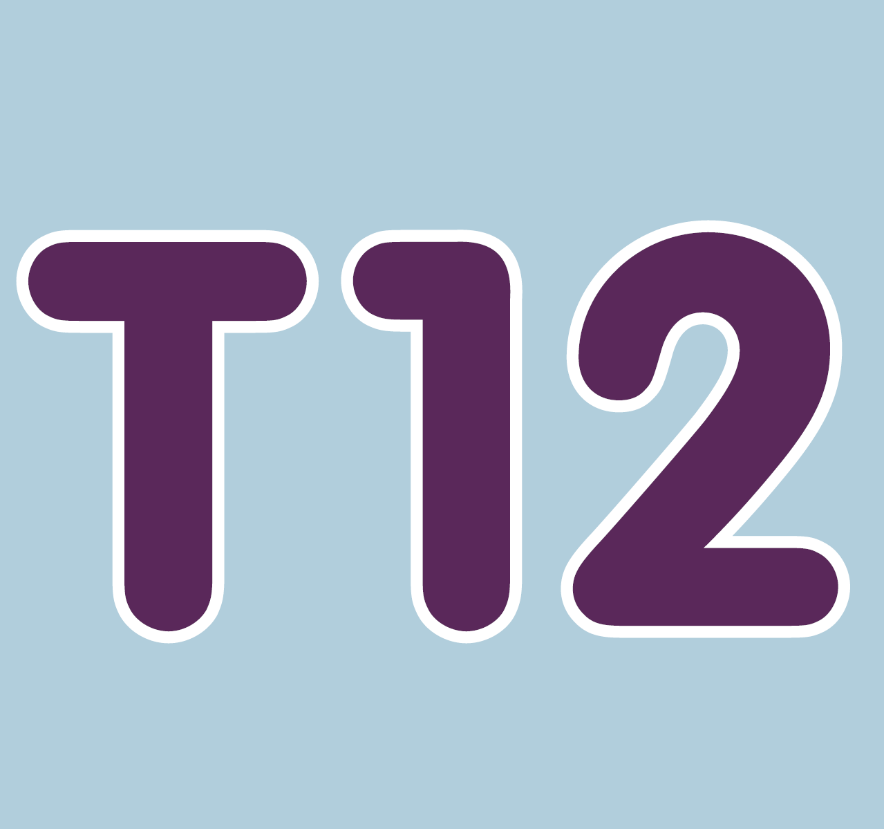 T12