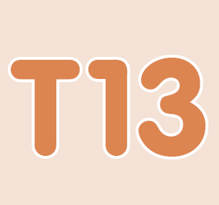 T13