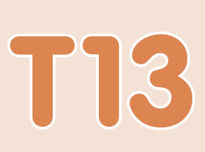 T13