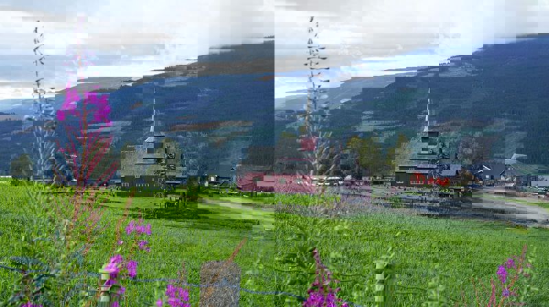 Foto Saskia Aleida Van Veen. Hegge kyrkje når «groren ein gong er mogen.».