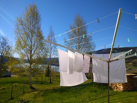 Ord for dagen - 30.05.2020 av sokneprest Eli Vatn