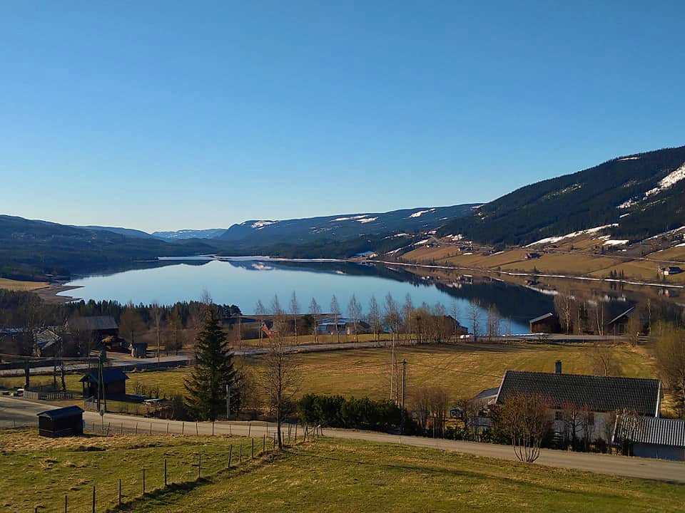 Volbufjorden Foto: Eli Vatn