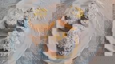 Solbollar foto Eli Vatn