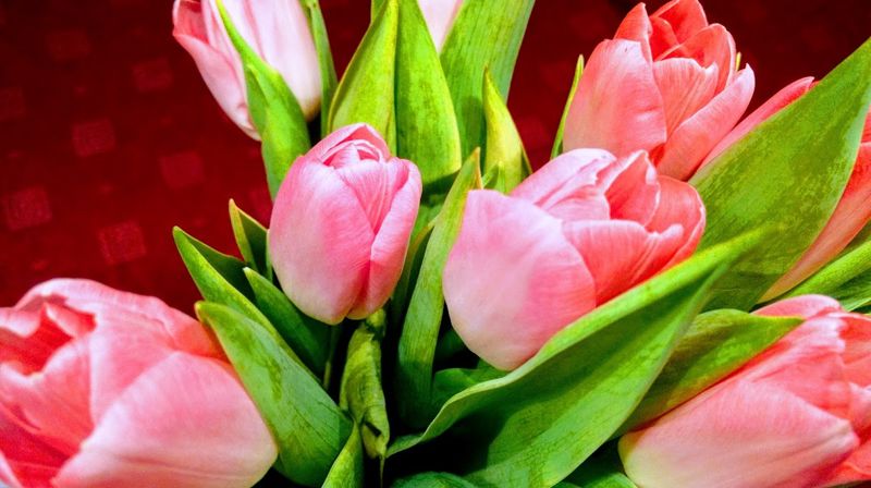 Velkommen til menighetenes årsmøter