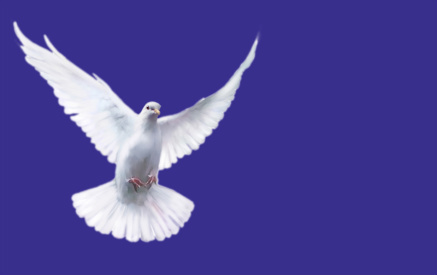 Søndag før pinse - preken