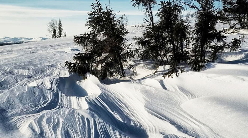 Menighetsblad nr 1-2026