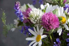 Gudstjenester i Rennebu sommeren 2018