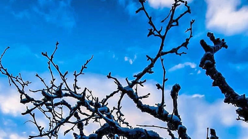 Menighetsblad 1-2025