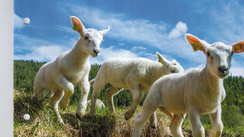 Menighetsblad nr 3, 2018