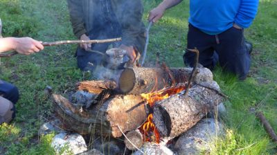 Medlem i Saemien Åålmege
