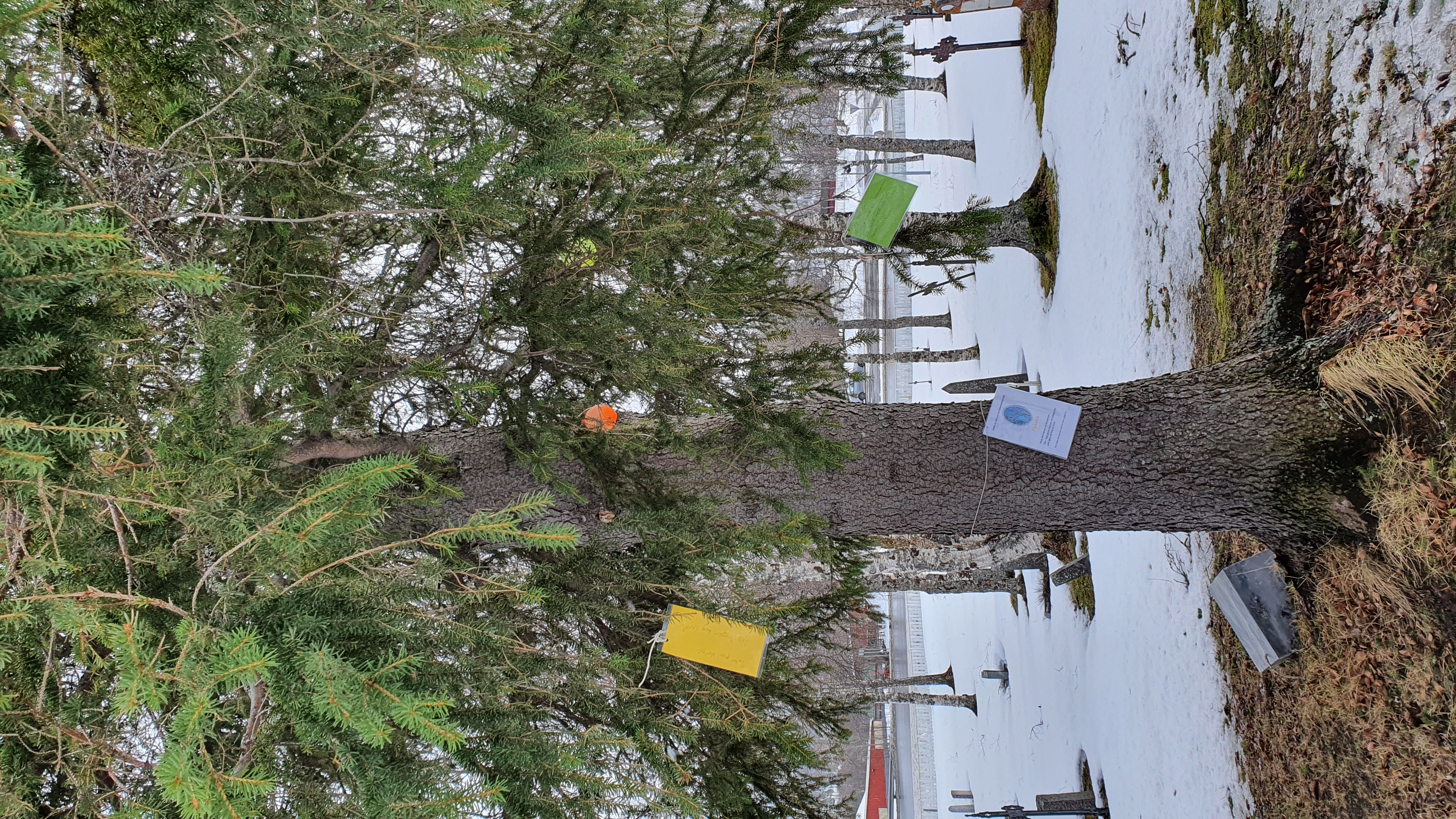 Påskevandring ved Salangen kirke