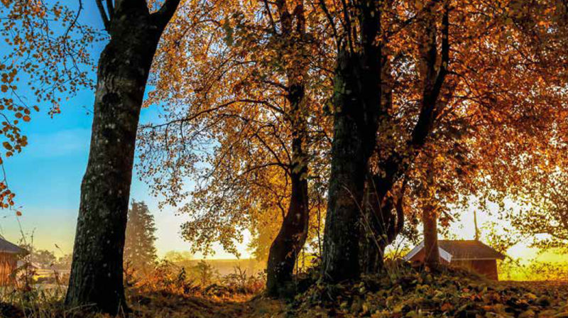 Høstmotiv fra Skjeberg fra menighetsblad nr. 3 2019.