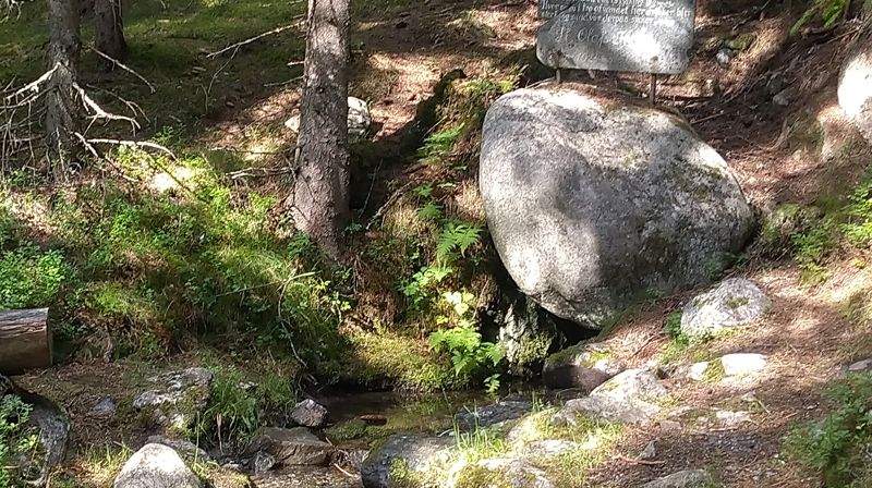 Vandring langs kongevegen og konsert på Leirskogen