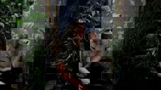 Foto: Sortland Jazzfestival