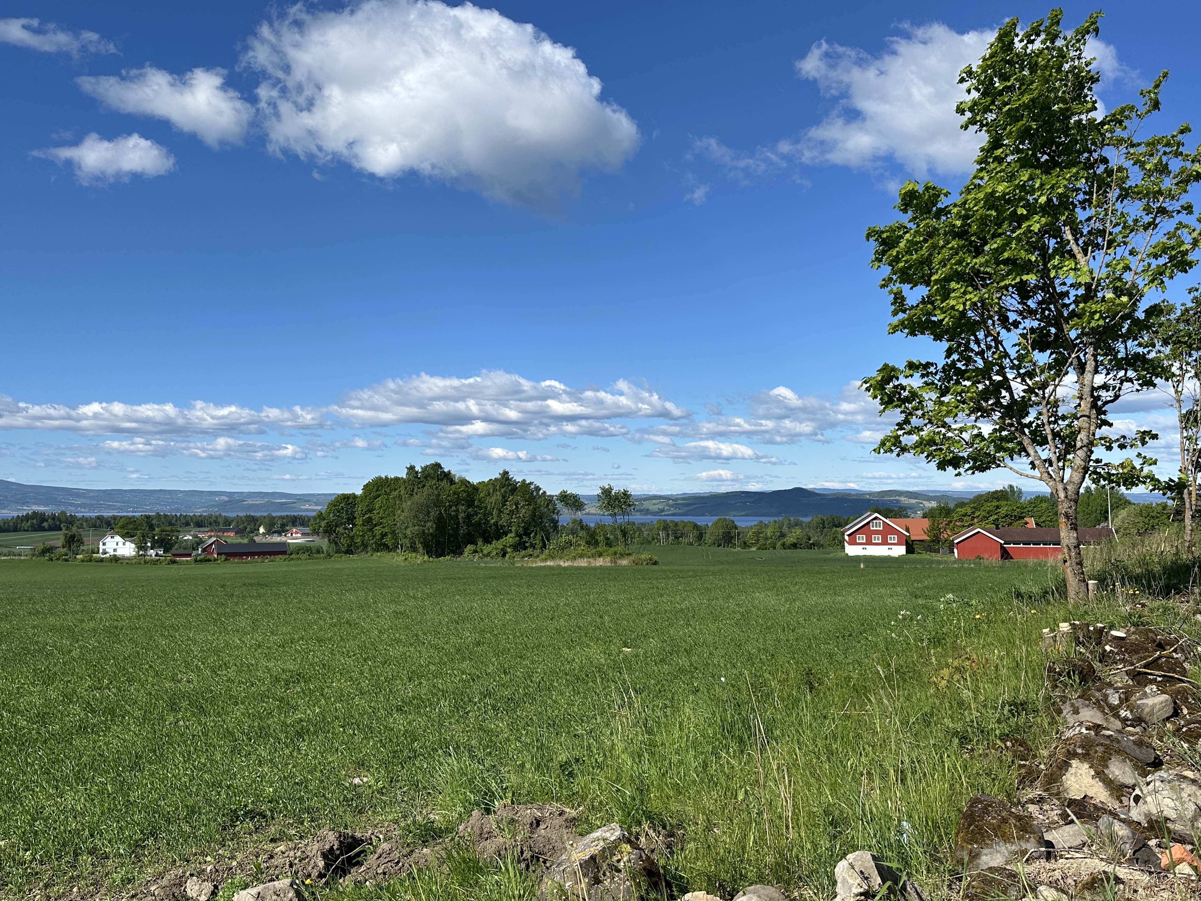 Foto: Aslaug Haugen