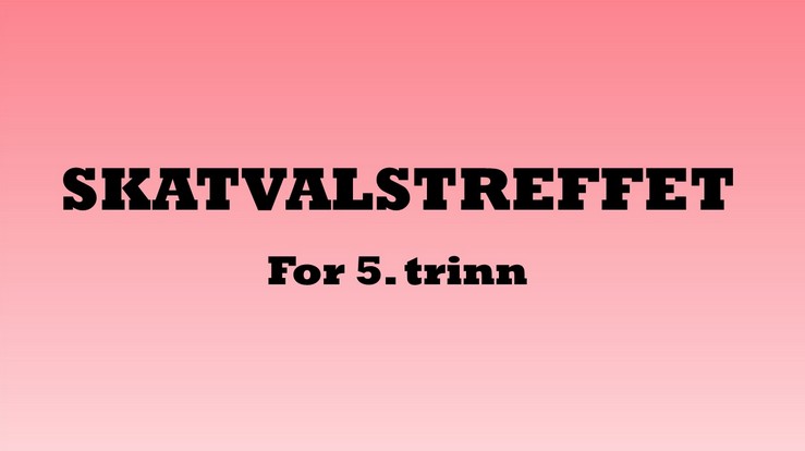 Skatvalstreffet for 5. trinn
