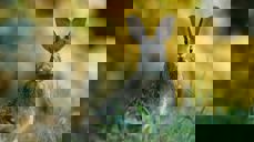 Foto: Gary Bendig, Unsplash