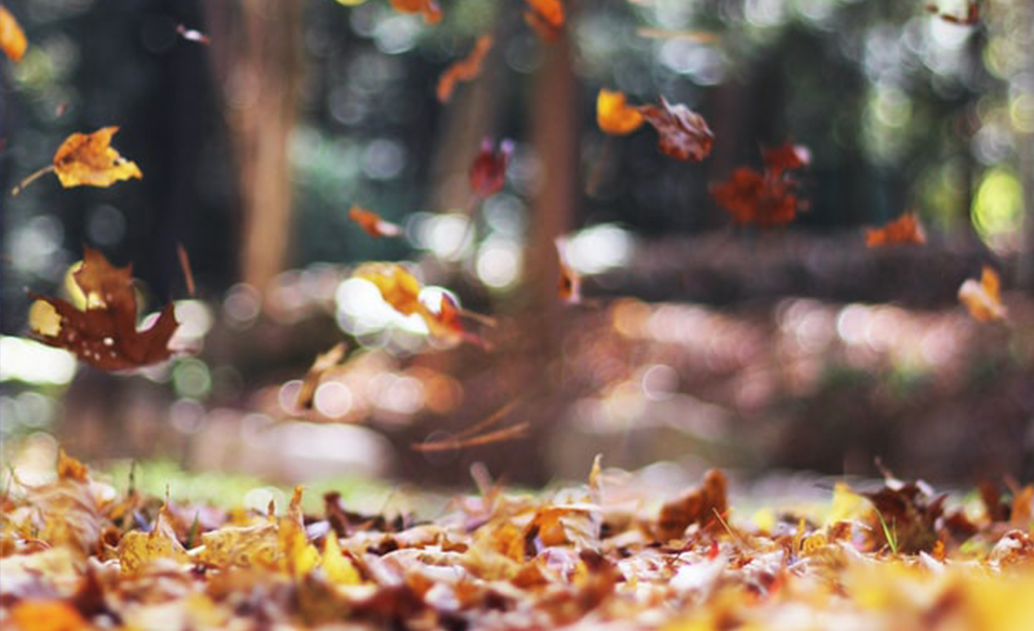 Kyrkjekontoret held stengt i haustferieveka!
