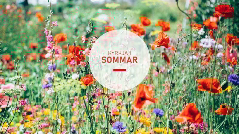 Velkomen til kyrkja i sommar!