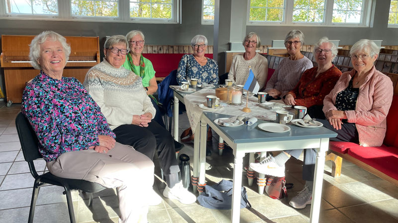 Dei flotte damene i Misjonsforreninga Ester