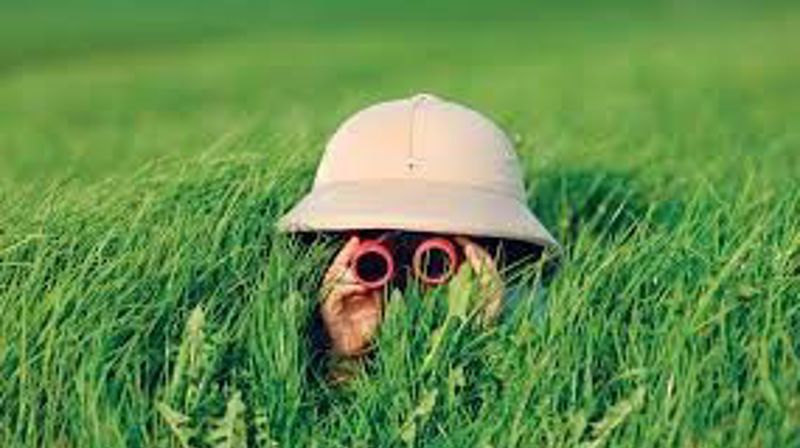 Agent for skaparverket