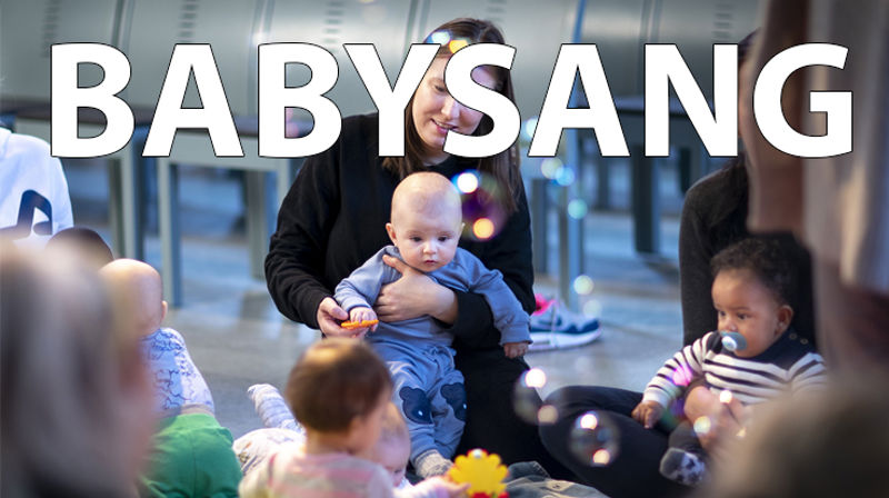 Babysang høsten 2024