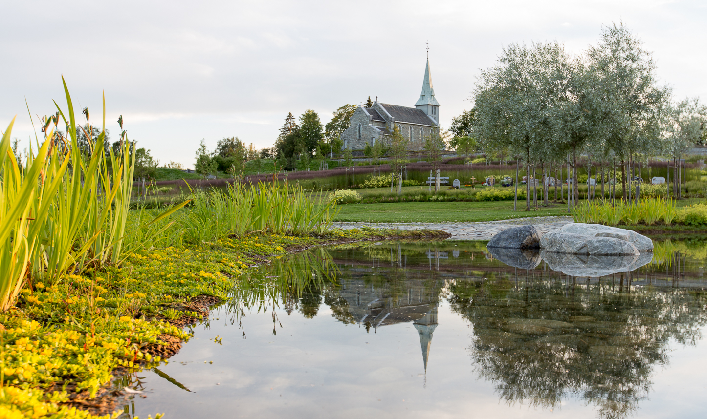 Havstein kirkegård ligger nydelig til på et av Trondheims høydedrag. Nå er kirkegården kåret til Årets grønne park 2018. Foto: Kjetil Aa