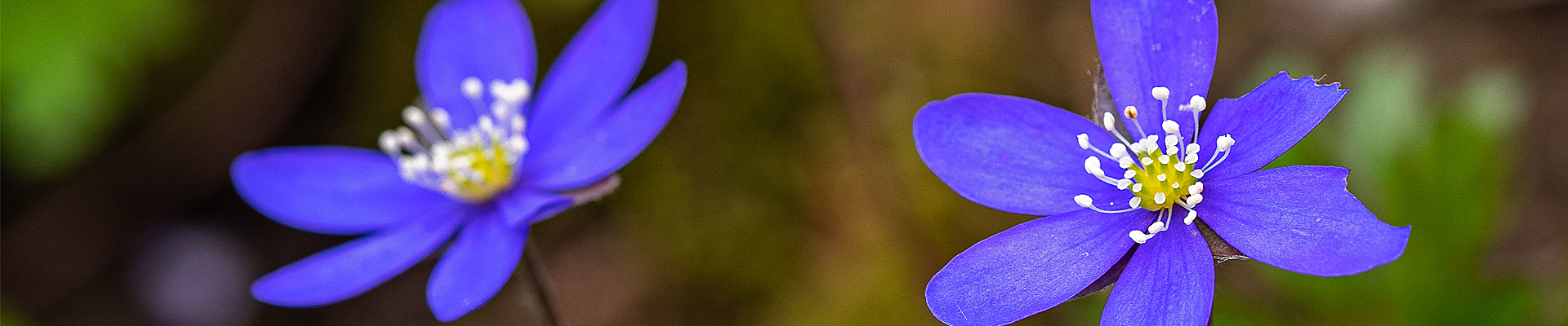 Toppbilde for Berg menighet