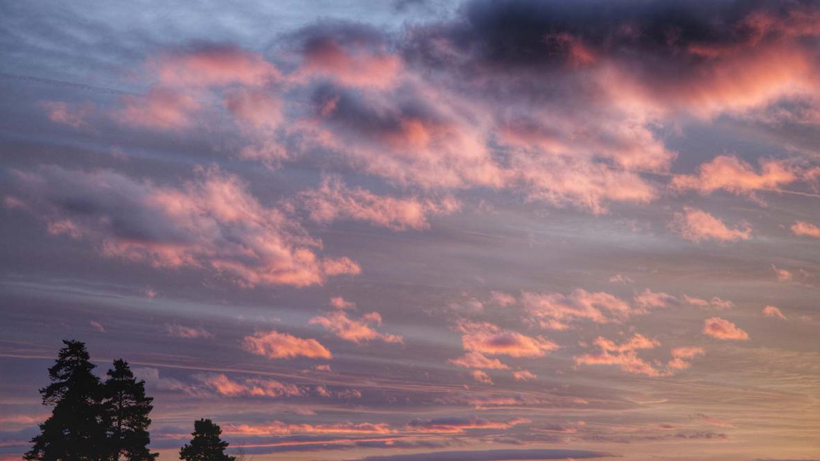 KRIK presentasjon 8. november