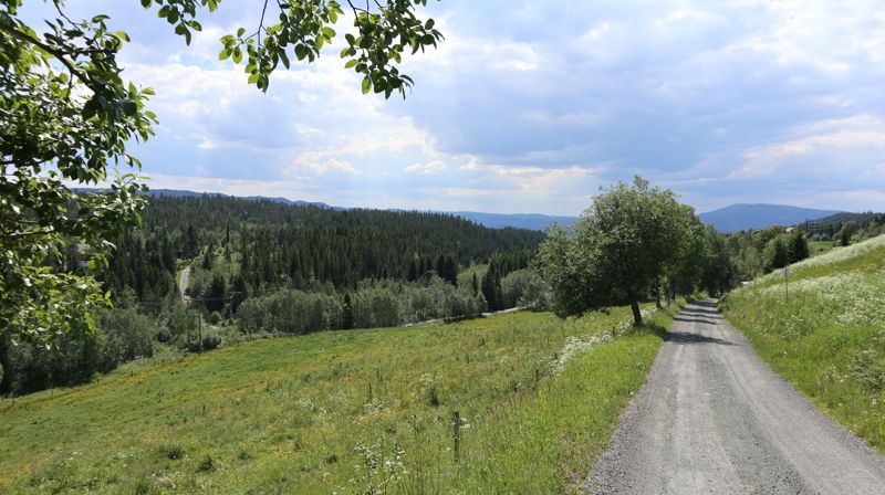 Vandregudstjeneste fra kirke til kirke i framtidig nytt sokn - Søndag 25. august
