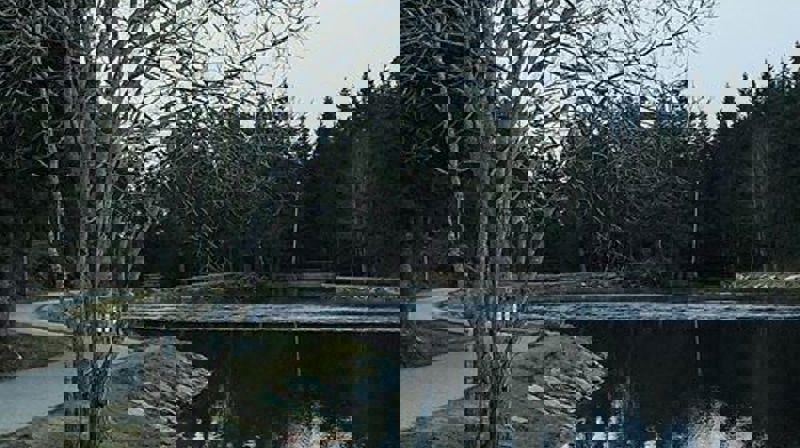 Vandring i fellesskap