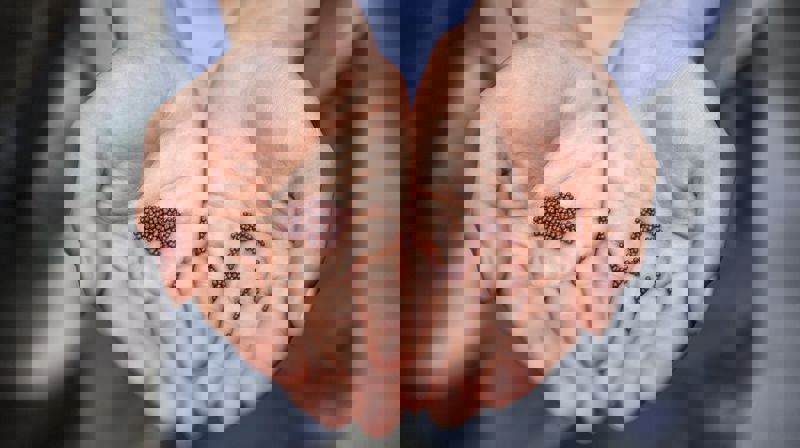 Foto: Joshua Lanzarini, Unsplash